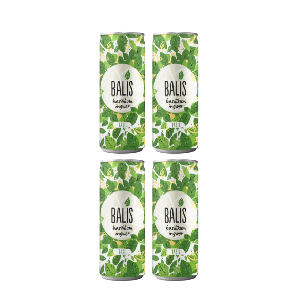 BALIS - 48 * 0.25L cans - Party Selection – BALIS Drinks